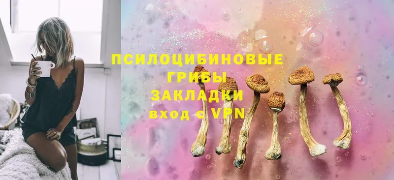 Псилоцибиновые грибы Magic Shrooms  Омск 